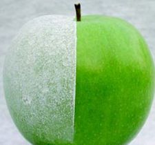 Fruto protegido con caolín orgánico Protecsol