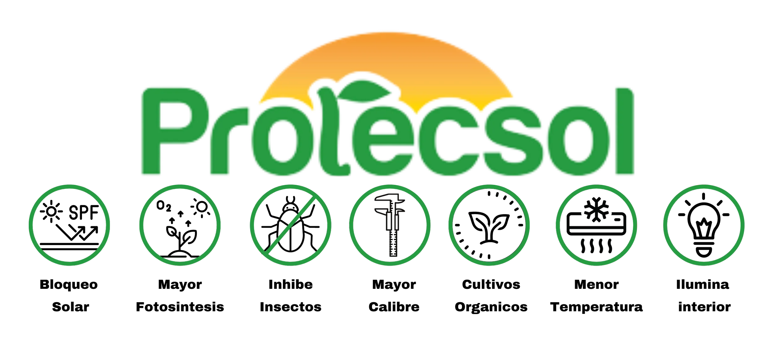 Protección solar con Protecsol en nogal